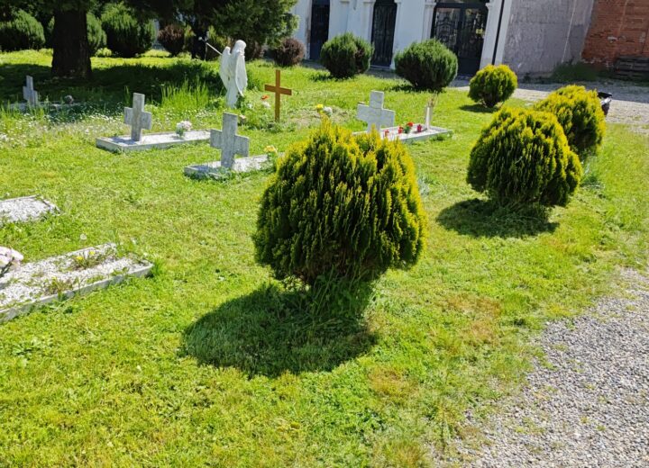 Al via il taglio dell’erba al cimitero di Alessandria. Comune: ora interventi nei sobborghi