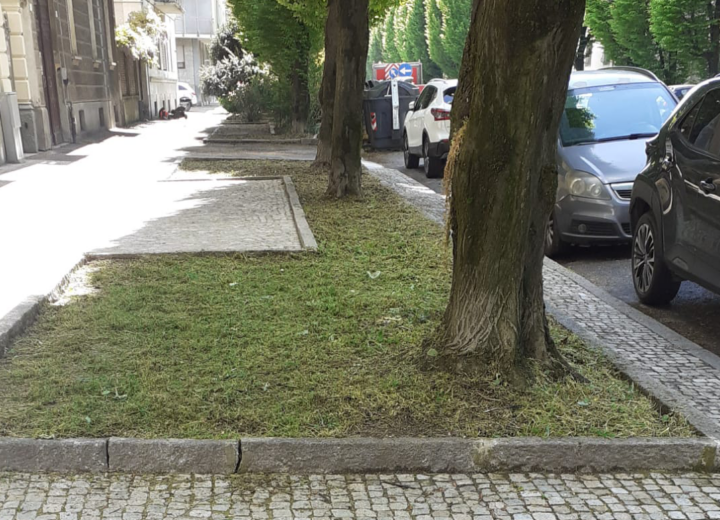 Pulite e tagliate le aiuole in viale delle Medaglie d’Oro dopo l’appello di un lettore