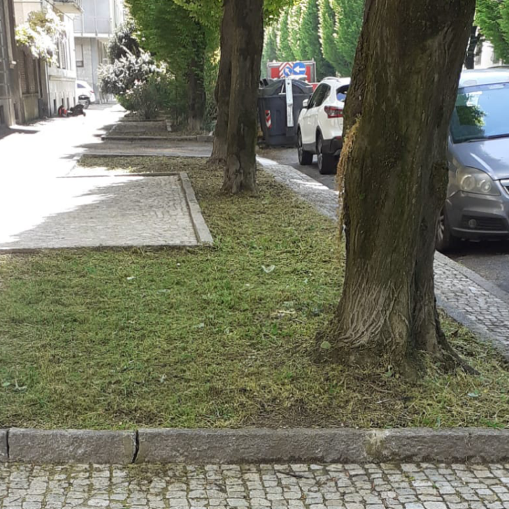 Pulite e tagliate le aiuole in viale delle Medaglie d’Oro dopo l’appello di un lettore