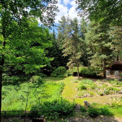Riaperto il giardino botanico di Pietra Corva