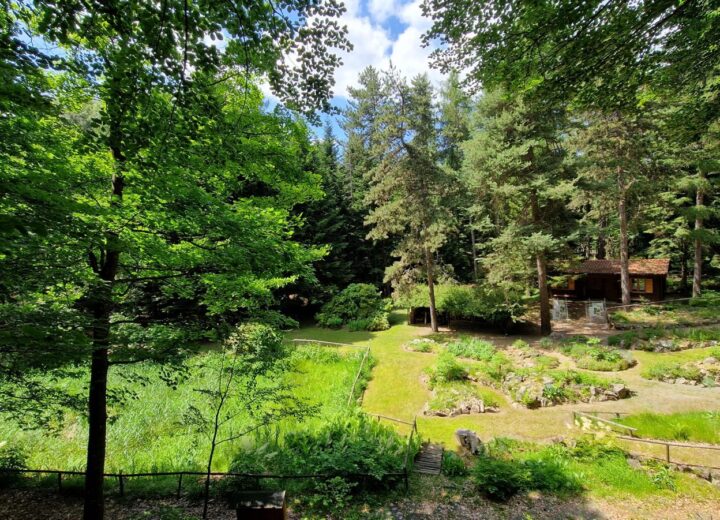 Riaperto il giardino botanico di Pietra Corva