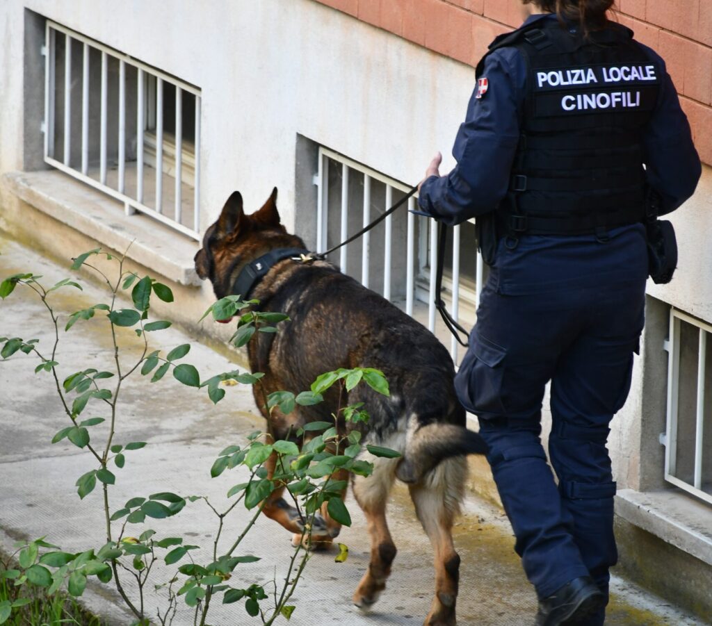 Polizia casale droga armi scuola