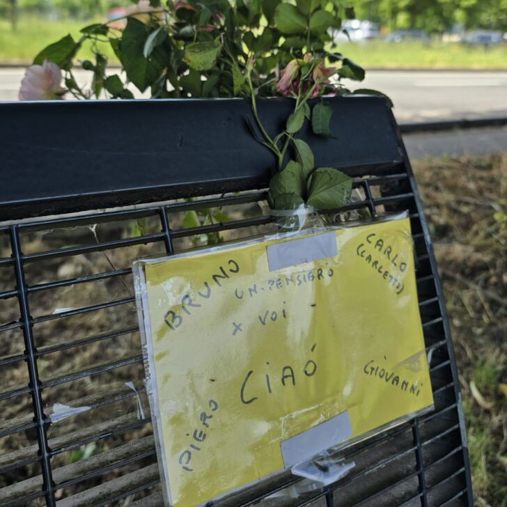 Quei fiori sulla panchina lungo un viale che sembra fuori dal tempo