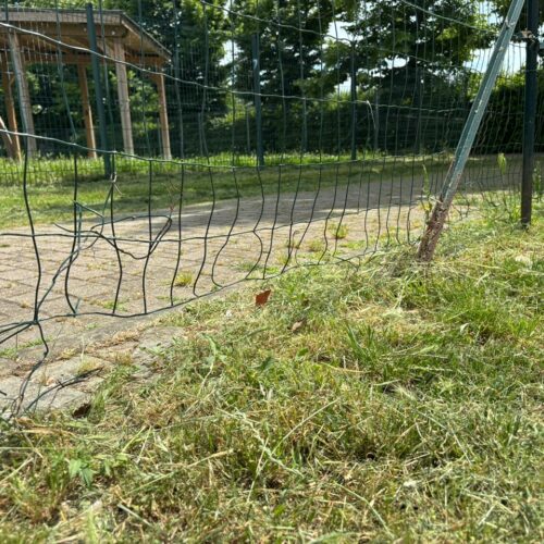 Parco Carrà, nell’area cani recinzioni rotte e sporcizia. Una cittadina: “Serve un intervento”