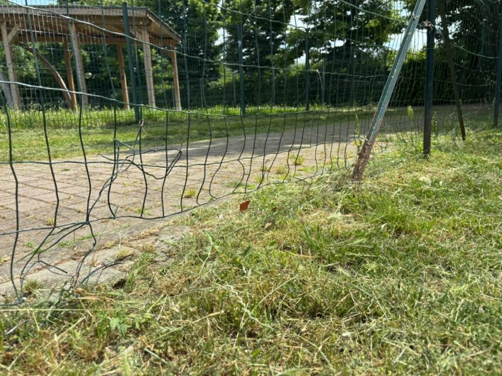Parco Carrà, nell’area cani recinzioni rotte e sporcizia. Una cittadina: “Serve un intervento”