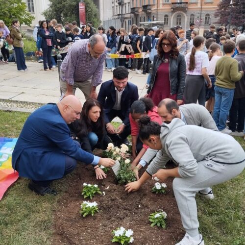 A Pavia piantato l’albero della pace