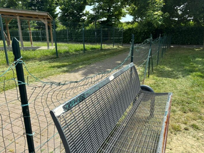 Parco Carrà, nell’area cani recinzioni rotte e sporcizia. Una cittadina: “Serve un intervento”