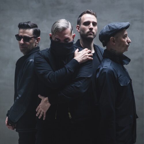 Nuovo album e tour per i Casino Royale