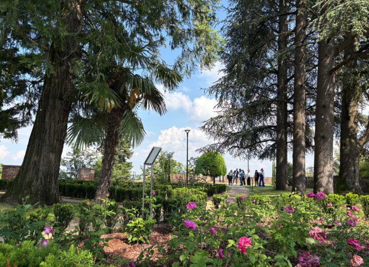 Parco Bricherasio rifiorisce. A Fubine un’oasi con 28 mila piante e un suggestivo roseto con vista sul Monferrato