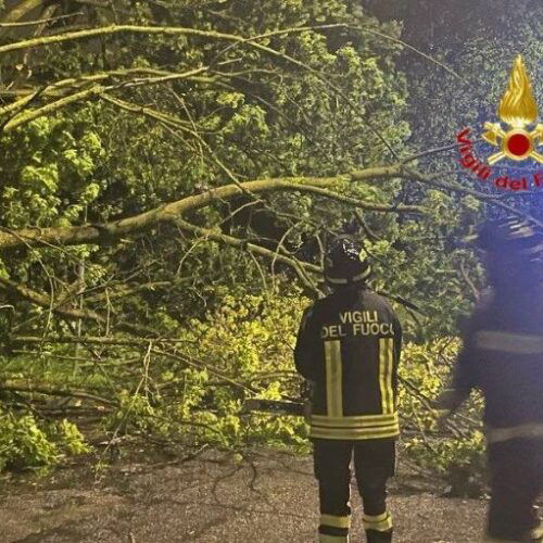 Maltempo nel Pavese: Vigili del Fuoco in azione fin dalle prime luci dell’alba