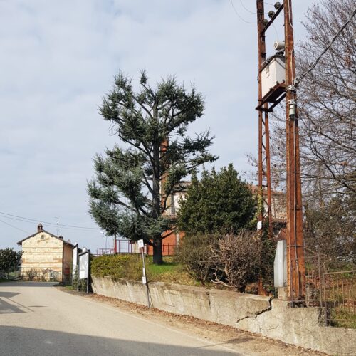Lavori sugli impianti Enel di Casale: martedì energia elettrica interrotta in strada Rolasco