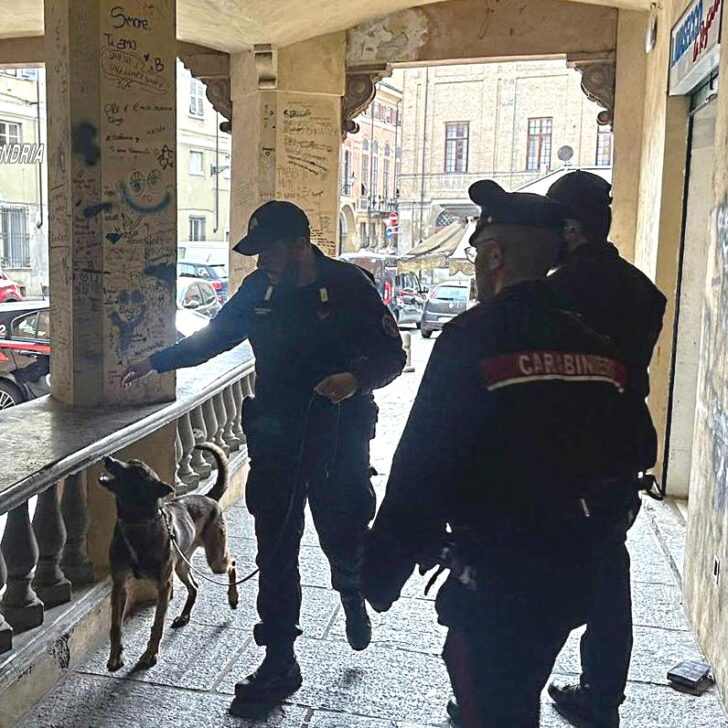 Cani antidroga e prevenzione tra le vie dello shopping: controlli straordinari dei Carabinieri a Novi e Serravalle