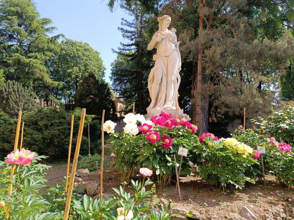 OrtoBotanico Pavia