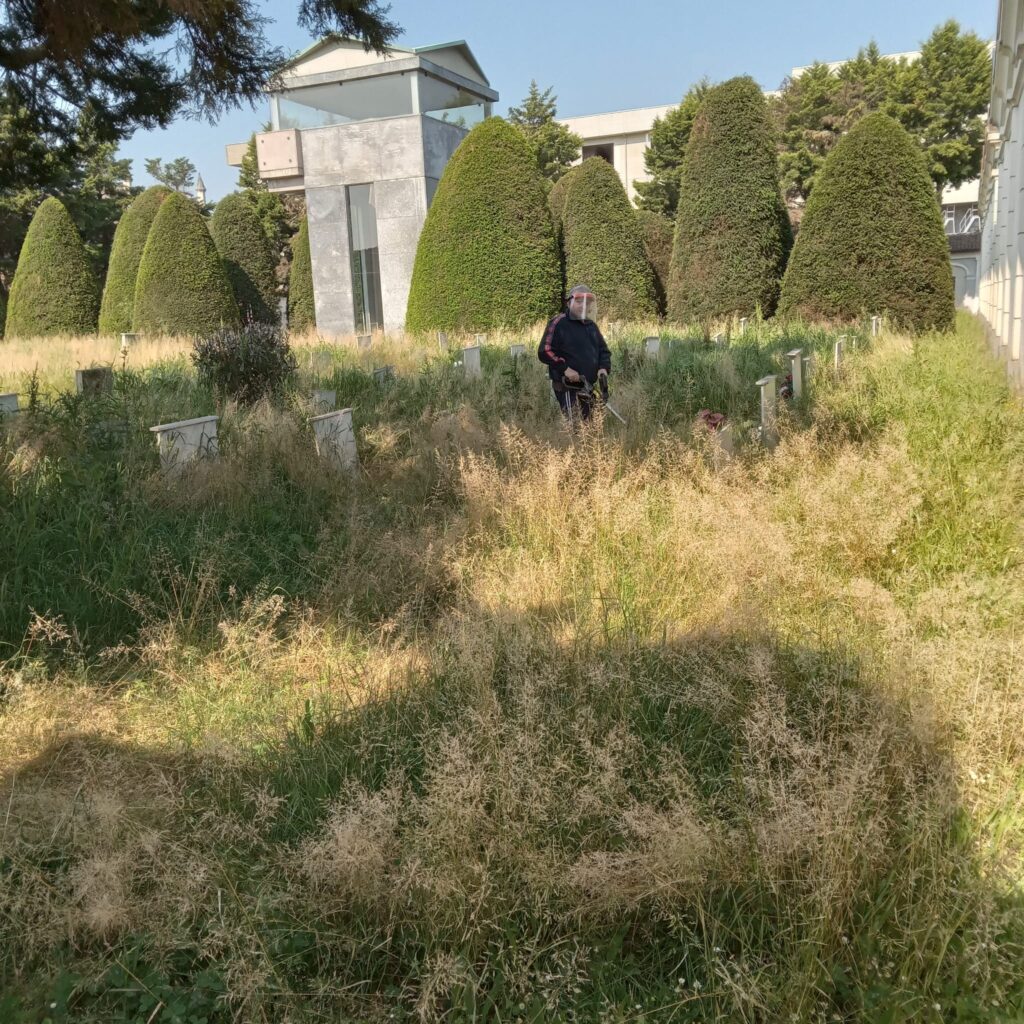 Cimitero Alessandria degrado