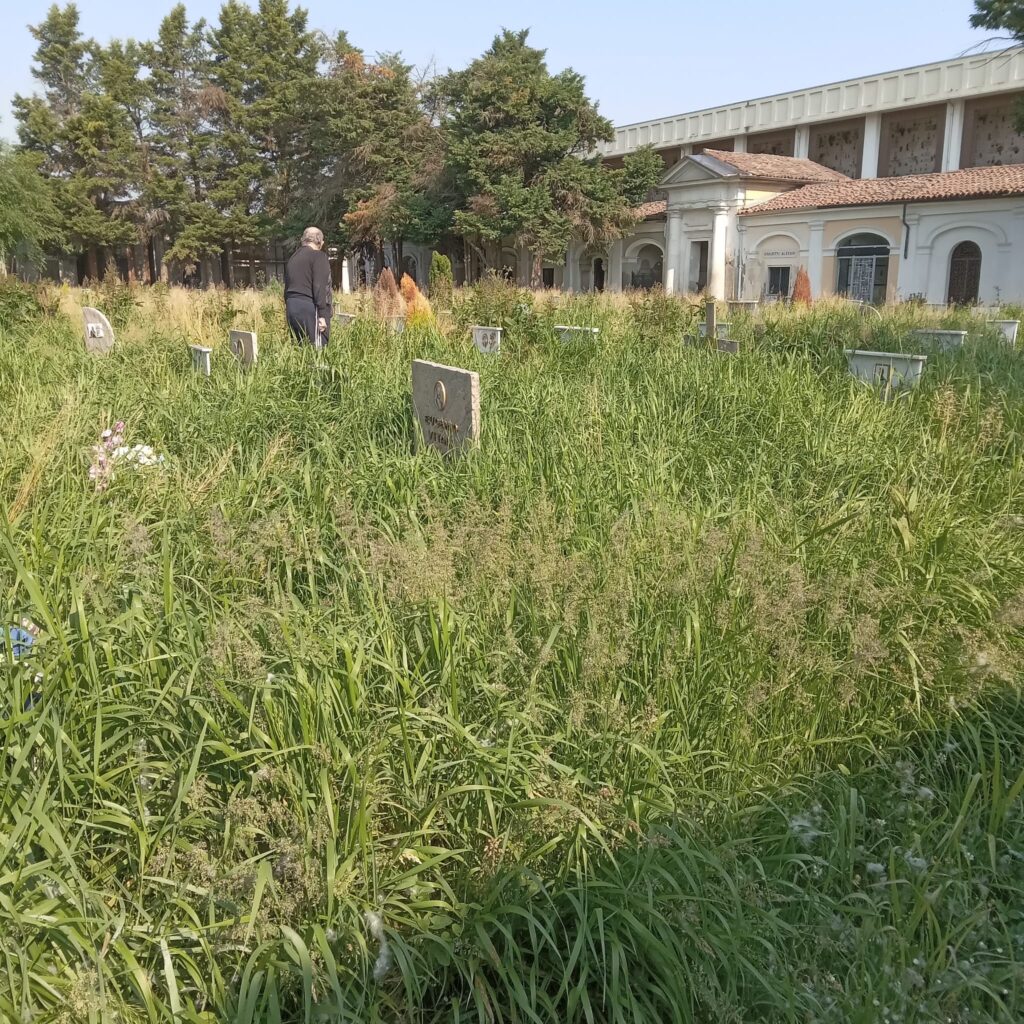 Cimitero Alessandria degrado