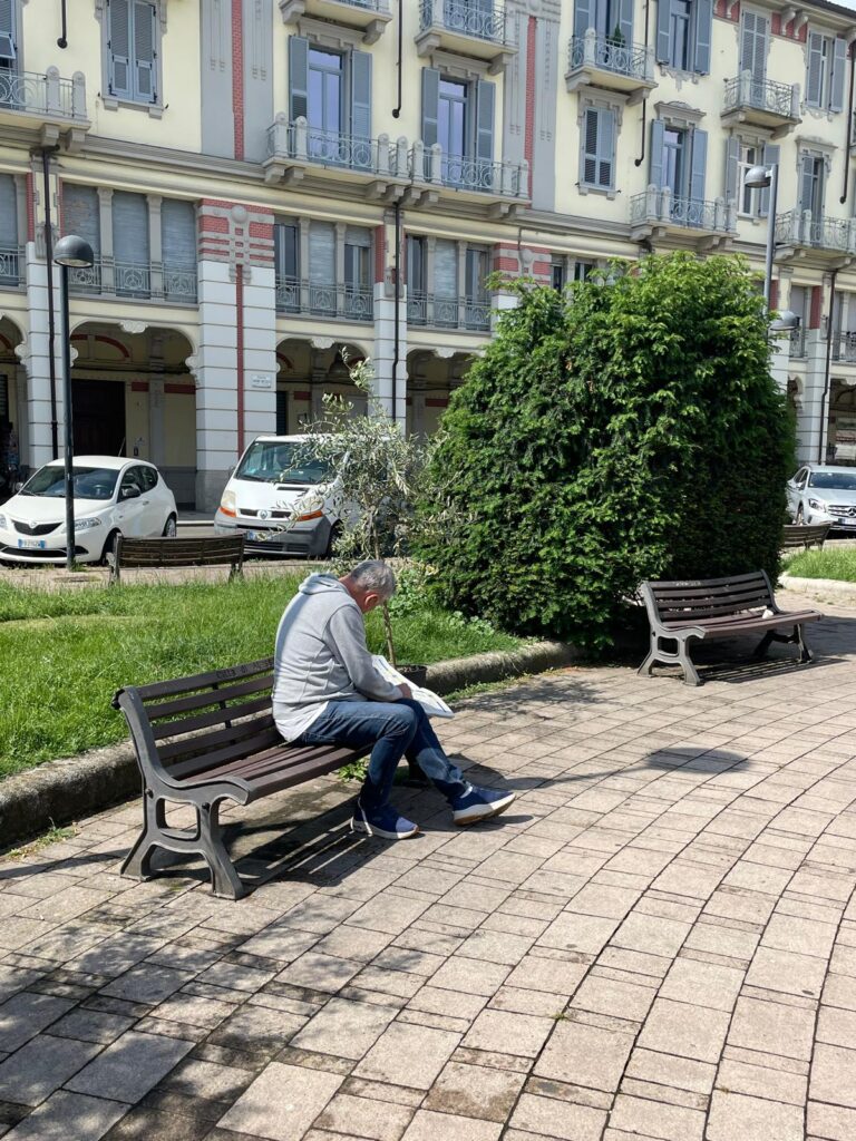 Ulivi piazza Matteotti alessandria