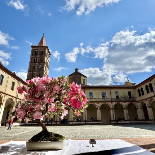La “Notte Rosa” dà il via a “Biella Estate”. Fino a settembre eventi, spettacoli, musica e sport 
