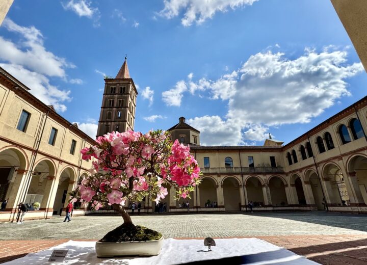 La “Notte Rosa” dà il via a “Biella Estate”. Fino a settembre eventi, spettacoli, musica e sport 