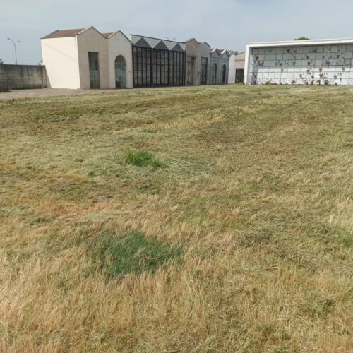 Iniziato lo sfalcio dell’erba nei cimiteri dei sobborghi di Alessandria: terminerà entro il 12 maggio