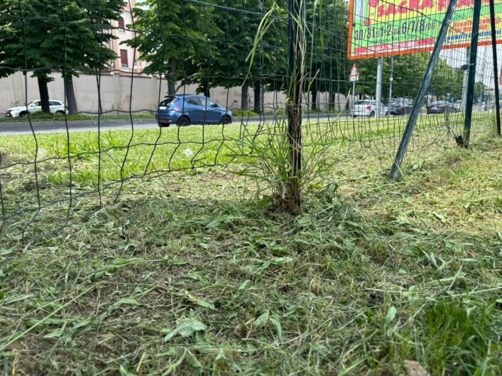 Parco Carrà, nell’area cani recinzioni rotte e sporcizia. Una cittadina: “Serve un intervento”