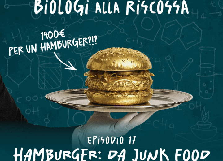 Hamburger: da junk food a pasto completo? – Biologi alla Riscossa #17