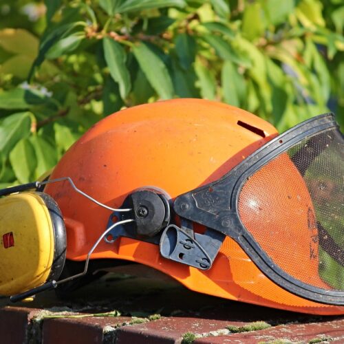 Sfalci dell’erba ad Alessandria: il calendario degli interventi fino a venerdì 9 maggio