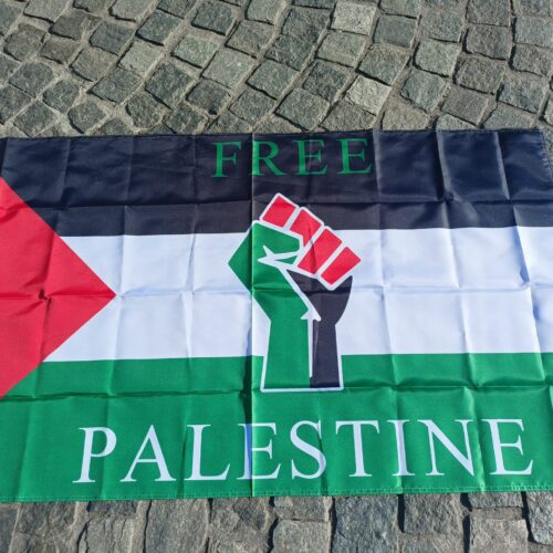Due studenti piemontesi bloccati al Cairo: volevano unirsi alla marcia per Gaza