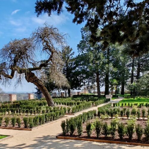 Fubine apre le porte del Parco Storico Bricherasio, un nuovo gioiello botanico con oltre 28 mila piante