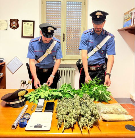 Coltivava marijuana in casa. Denunciato uomo di 51 anni