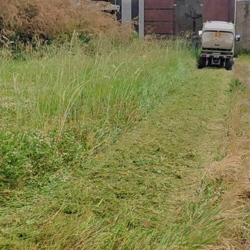 Sfalcio dell’erba ad Alessandria: dove si interverrà questa settimana