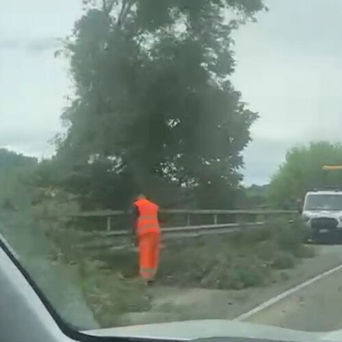 Senso unico alternato tra Alessandria e Valenza sulla strada Colla