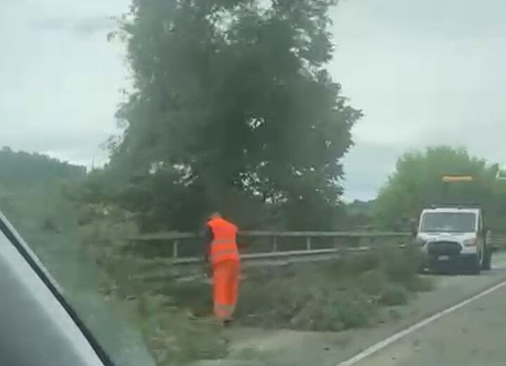 Senso unico alternato tra Alessandria e Valenza sulla strada Colla