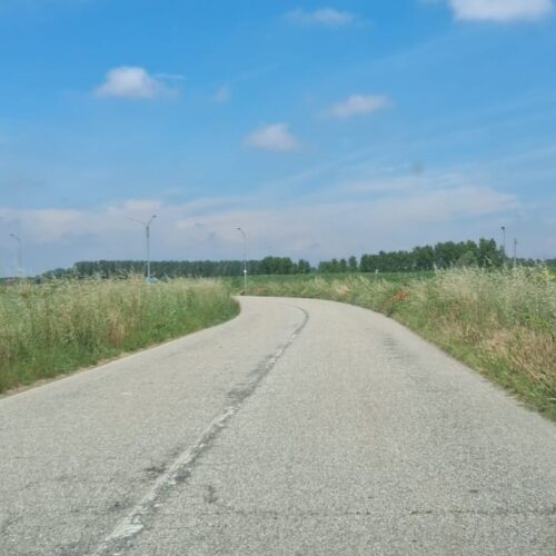 Strada provinciale di Valmacca, la segnalazione: “Striscia bianca scolorita e poca visibilità in curva”