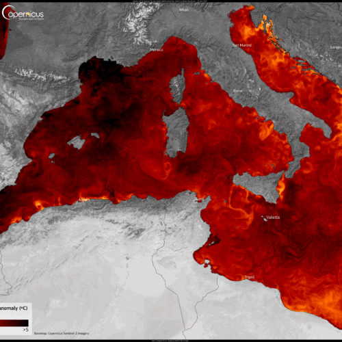 Il mar Mediterraneo è sempre più caldo e non è un bene