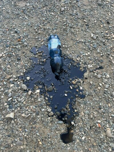 Nuovo atto vandalico a Cascina Rosa: vernice lanciata nel canile