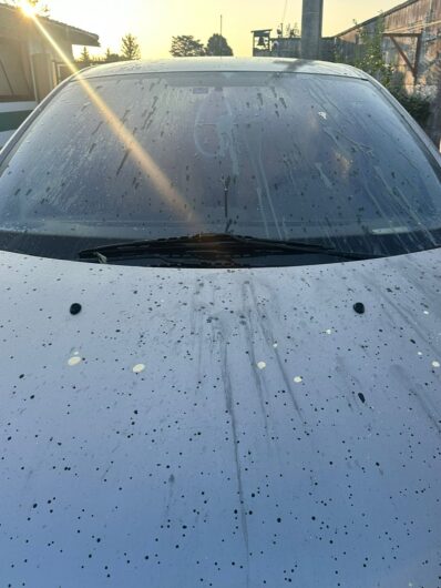 Nuovo atto vandalico a Cascina Rosa: vernice lanciata nel canile