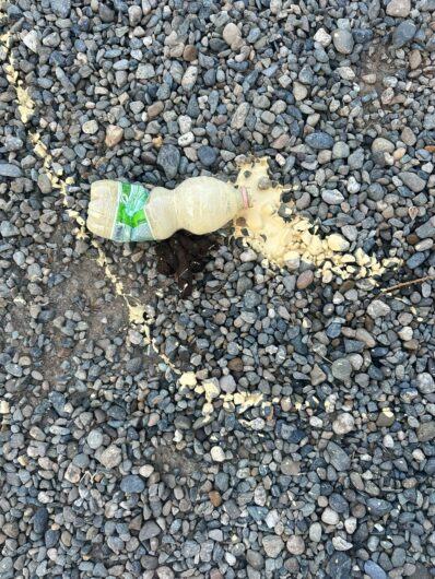 Nuovo atto vandalico a Cascina Rosa: vernice lanciata nel canile