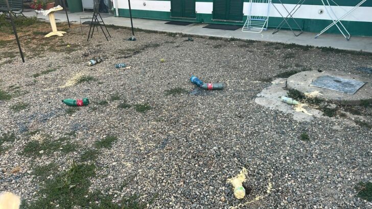 Nuovo atto vandalico a Cascina Rosa: vernice lanciata nel canile
