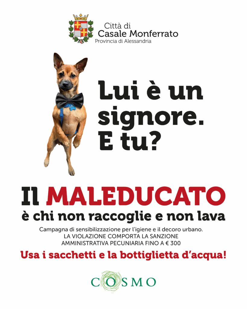 Campagna cani casale