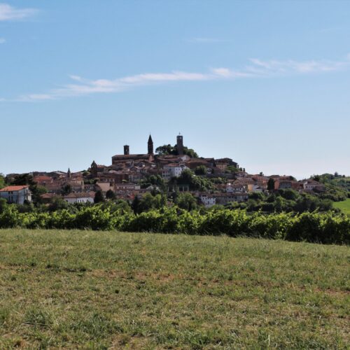 La pace come unico sentiero possibile: staffetta di 90 km dalle colline Unesco a Torino