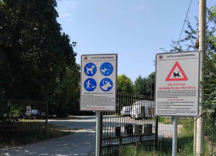 Ad Alessandria i cartelli per segnalare le colonie feline e i percorsi dedicati ai cani