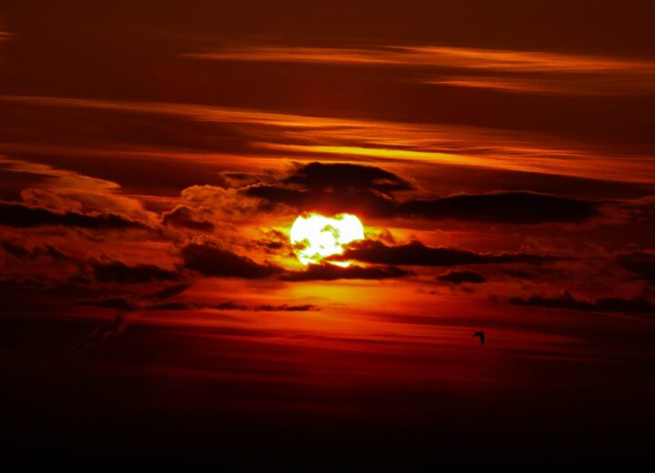Temperature bollenti: in provincia di Alessandria oltre i 37 gradi