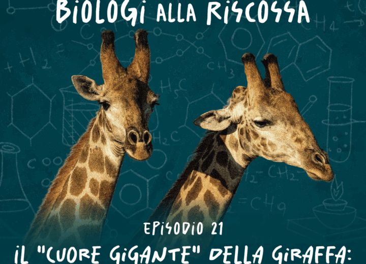 Il “cuore gigante” della giraffa: come arriva il sangue al cervello? – Biologi alla Riscossa #21