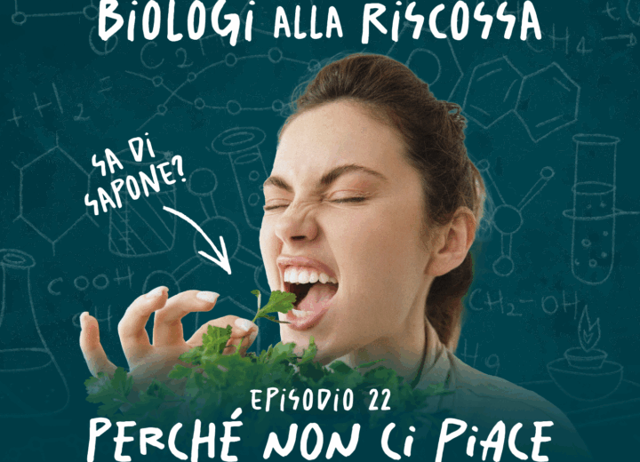 Perché non ci piace il coriandolo? – Biologi alla Riscossa #22