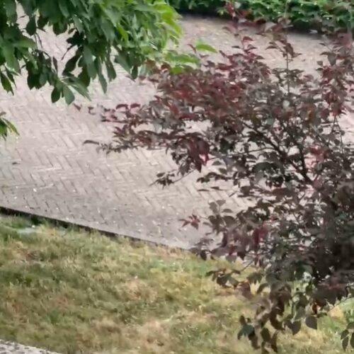 Grandinata a Valenza: il video di un ascoltatore