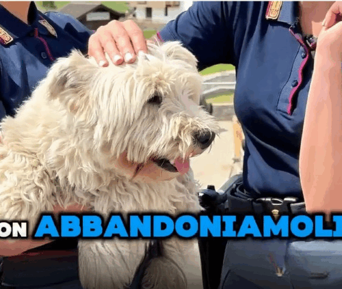 “Se non ti porto non parto”. La Polizia contro l’abbandono di animali