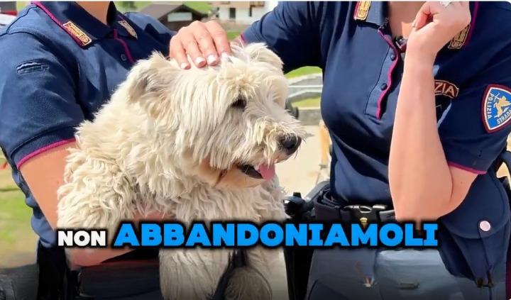 “Se non ti porto non parto”. La Polizia contro l’abbandono di animali