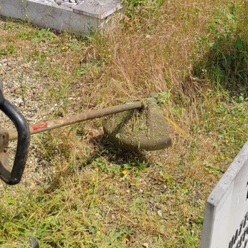 Sfalcio aree verdi Alessandria: interventi anche al Cimitero e in cinque sobborghi