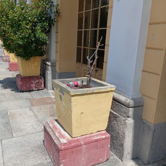 “Degrado alla stazione, sindaco solleciti riqualificazione e bonifica”: a Casale la minoranza alza la voce