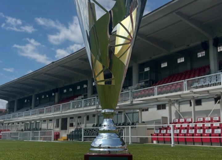 Wine Football Cup: sabato allo stadio Moccagatta la finale tra le scuole Volta e Montalcini